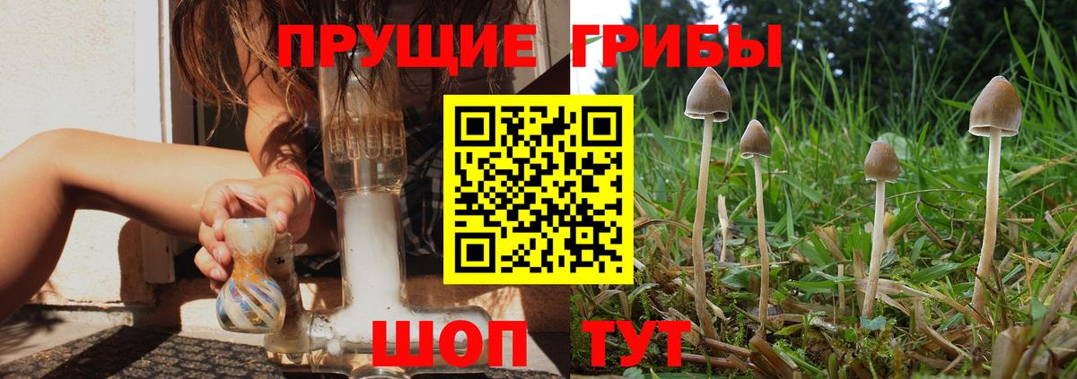 Галлюциногенные грибы Magic Shrooms  Вход с VPN  Галлюциногенные грибы Cubensis  Благодарный 